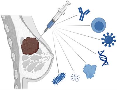 Intratumoral delivery of immunotherapy to treat breast cancer: current development in clinical and preclinical studies